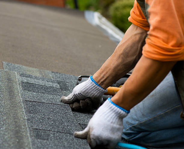 Best Roof Gutter Cleaning  in Harrisburg, NC